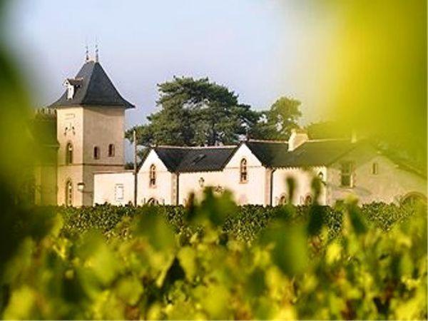 Domaine De La Soucherie - Chambres D'Hotes Beaulieu-sur-Layon Exterior photo