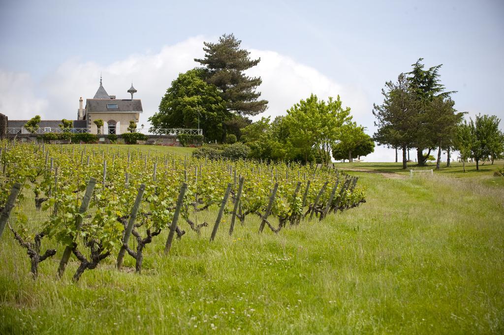 Domaine De La Soucherie - Chambres D'Hotes Beaulieu-sur-Layon Exterior photo